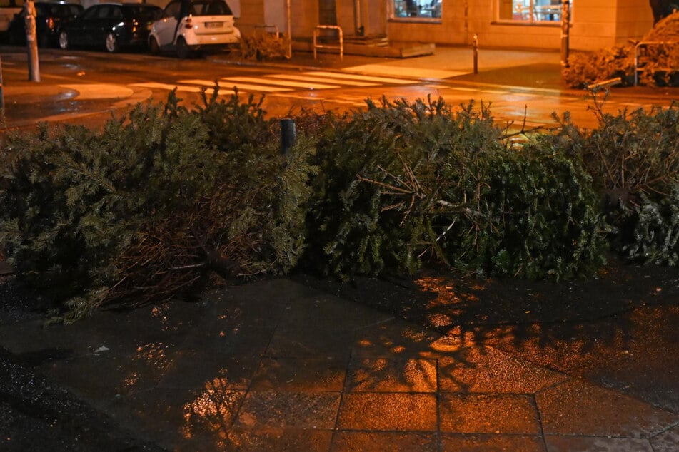 An der Rigaer Straße wollten vier Personen in der Nacht mehrere Weihnachtsbäume anzünden.