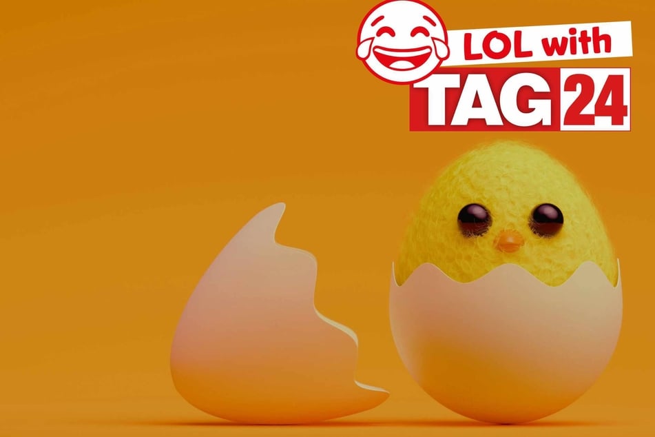 Joke of the Day for January 20, 2026: A cheeky chic chuckle