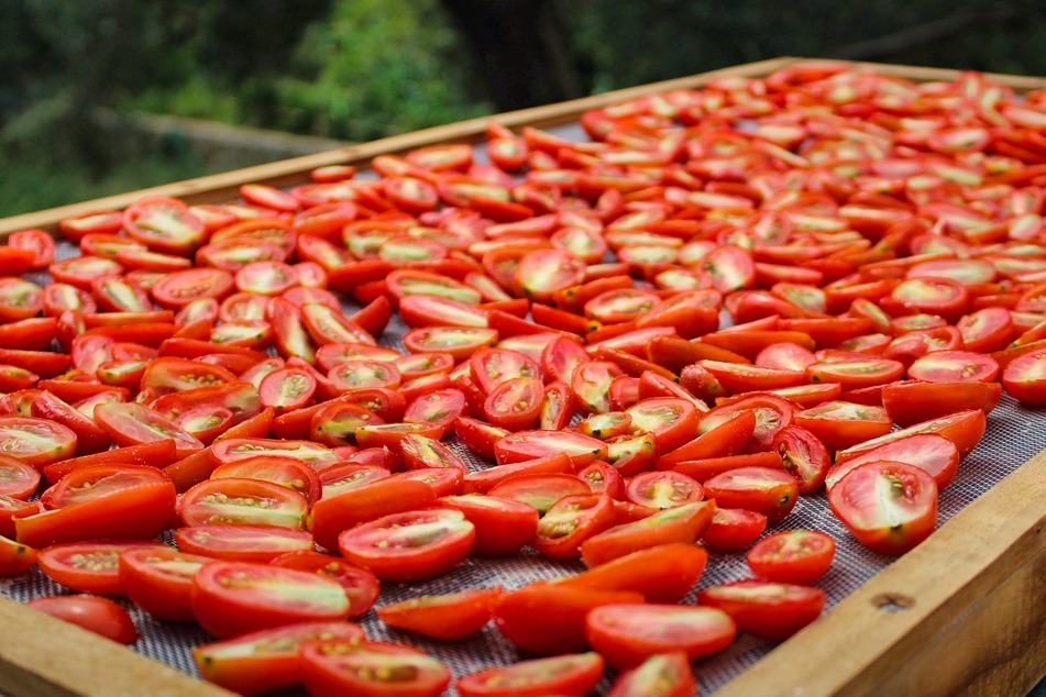 Wer getrocknete Tomaten selber machen will, kann die Tomaten auch in der Sonne trocknen.