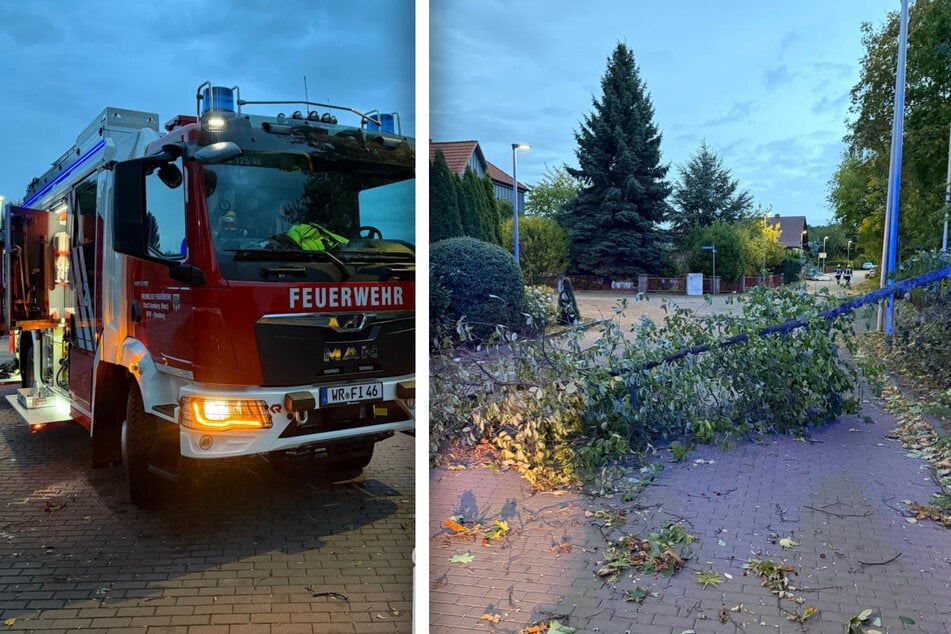 Die Feuerwehr Ilsenburg musste am Samstag umgestürzte Bäume beseitigen.