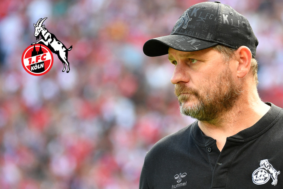 Köln zu Gast bei Borussia Dortmund: FC-Coach Baumgart glaubt an die Wende