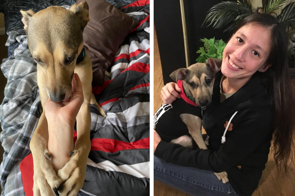 Frau lässt sich nach Tod ihres Hundes bittersüßes Tattoo stechen: So sieht es aus