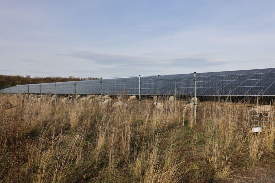 Der LEAG-Solarpark am Kraftwerk Lippendorf besteht aus 30000 Solarmodulen und hat eine Leistung von 17 Megawatt. Nach dem Kabelklau musste er vom Netz genommen werden.