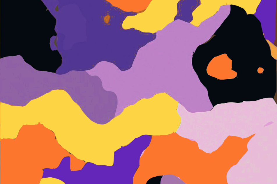 Die Flecktarn-Folie enthielt die Farben Violett, Orange und Schwarz.