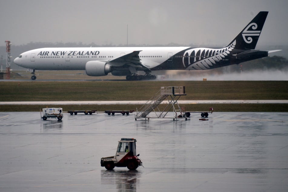 Die Transportbox mit Mittens wurde im Flieger der Gesellschaft "Air New Zealand" übersehen. (Archivbild)