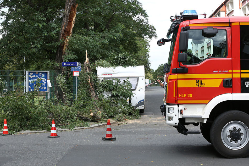 Die herabgestürzten Äste auf dem Wohnmobil in Dresden Laubegast.