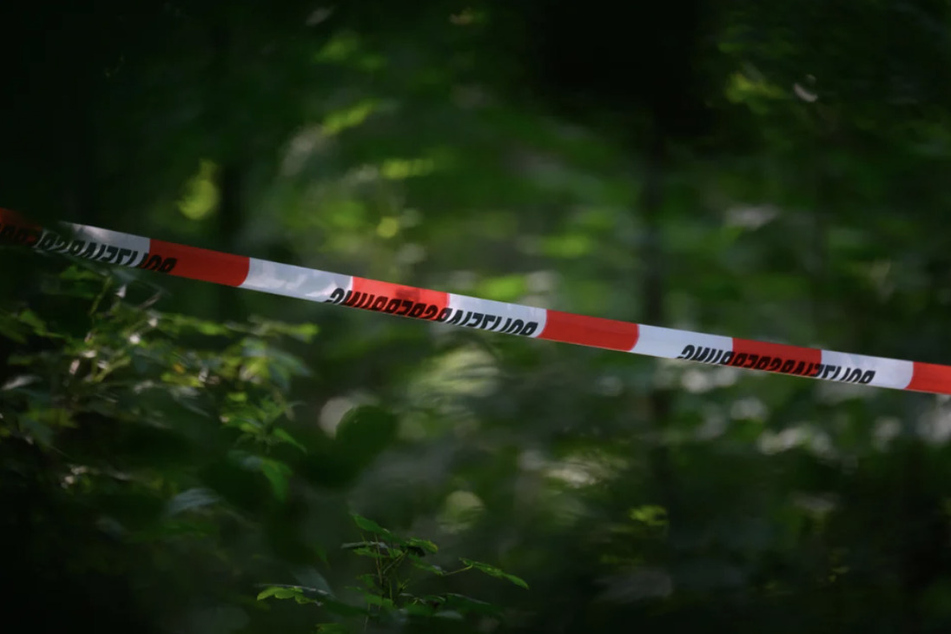 Verdächtiges Fahrzeug mitten in der Nacht entdeckt: Polizeieinsatz in Waldstück