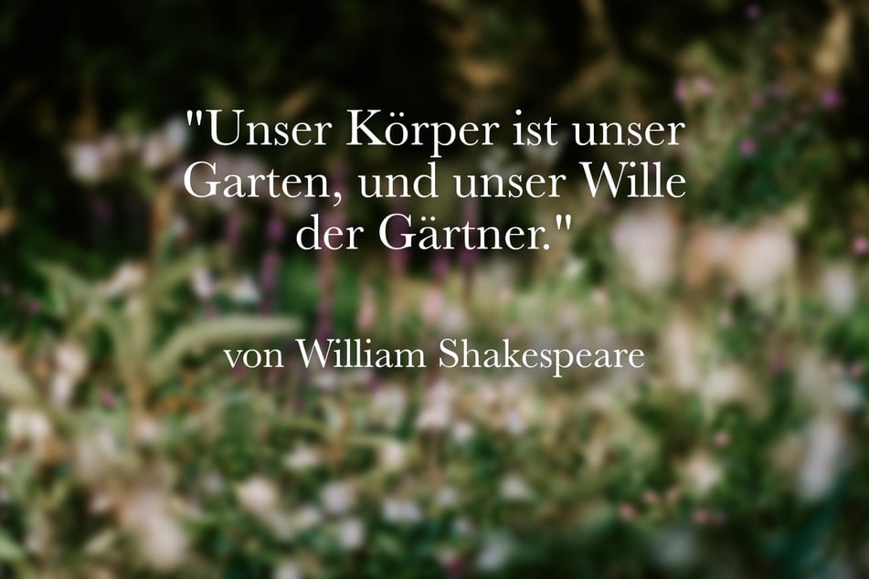 Ein schöner Spruch von William Shakespeare lautet: "Unser Körper ist unser Garten, und unser Wille der Gärtner."