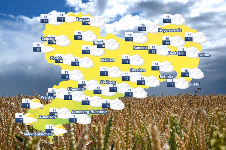 Der Himmel über Sachsen bleibt in den kommenden Tagen von Wolken bedeckt.