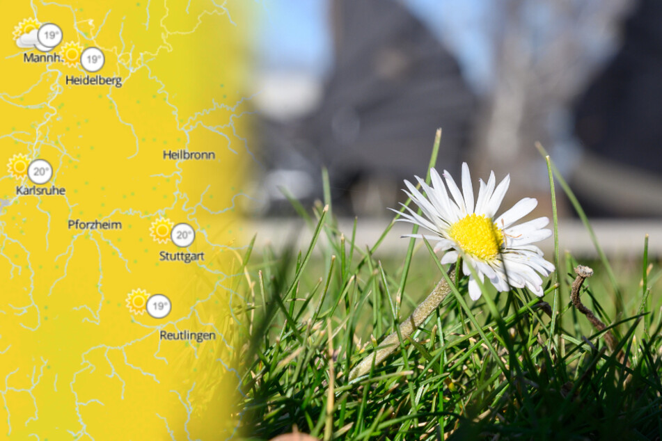 Die Temperaturen werden frühlingshaft.