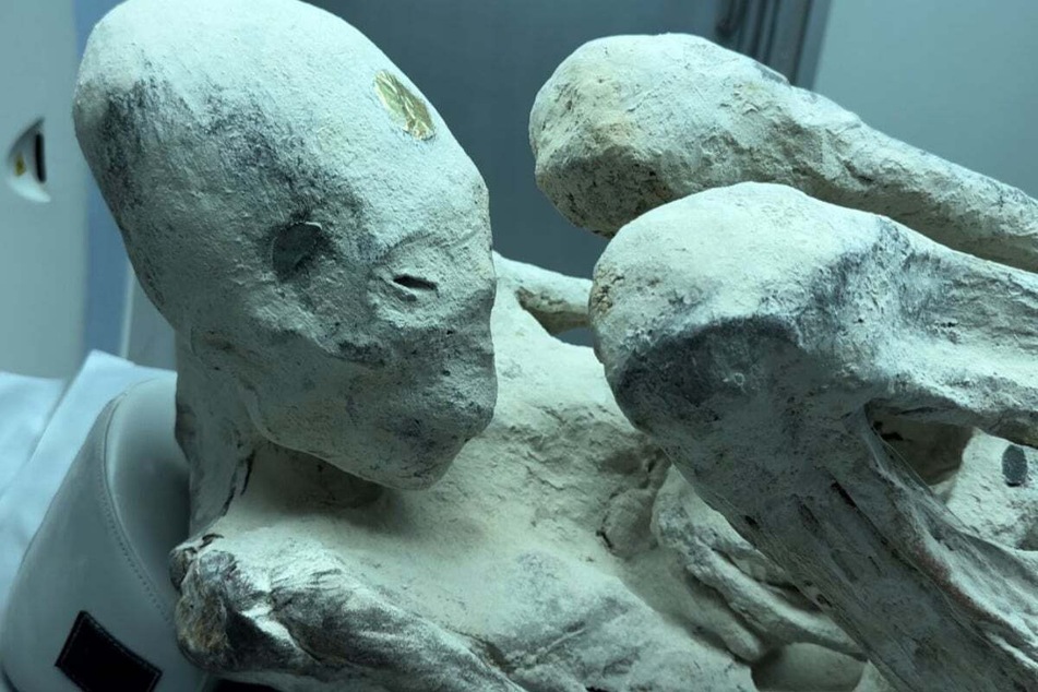 The mummies were allegedly found in Peru last year.