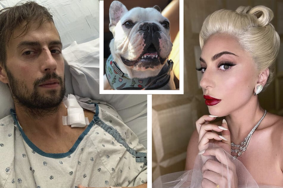 Ryan Fischer (l.) was hospitalized in February 2021 after being shot in Hollywood by three men, who kidnapped two of Lady Gaga's (r.) dogs (inset). One of the men, James Howard Jackson, was erroneously released from jail this week.