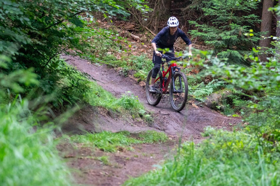 Nora Beyer von der Nürnberger DIMB (Deutsche Initiative Mountainbike), fährt auf einem Trail im Nürnberger Reichswald.