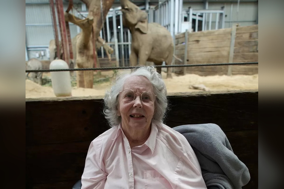 Die Zusammenkunft mit den Elefanten war für die demenzkranke Frau etwas ganz Besonderes.