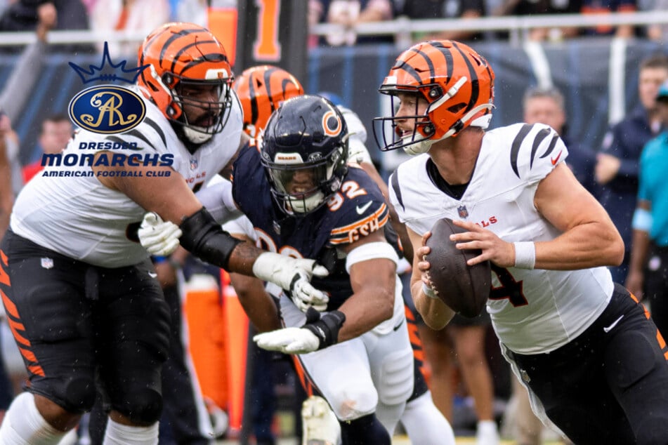 Mit NFL-Erfahrung: Monarchs finden Quarterback, aber plötzlich wackelt Hudson