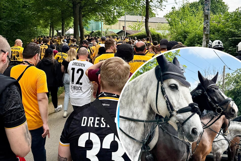Die Fans auf dem Weg zum Stadion.