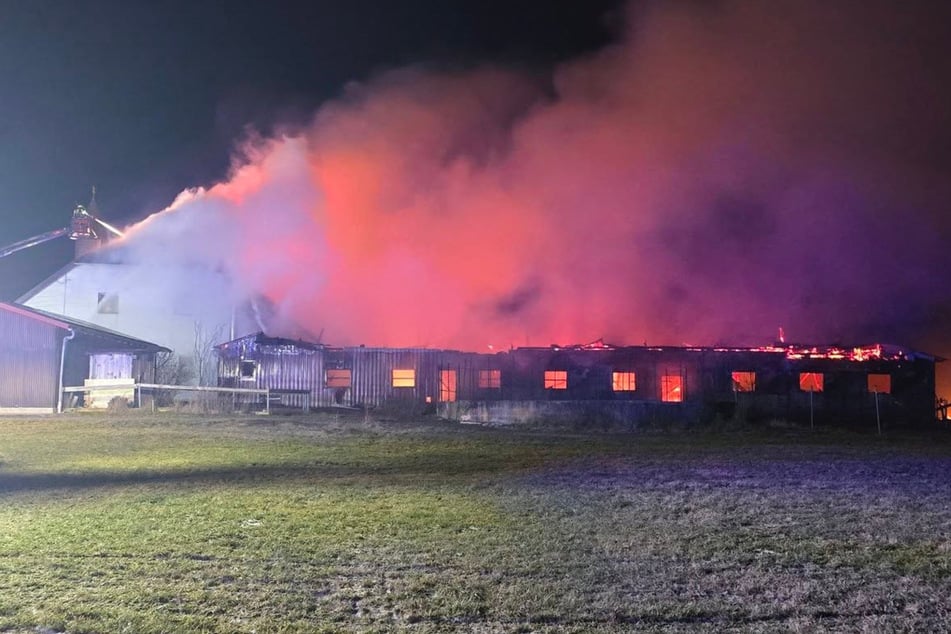 Zahlreiche Feuerwehrkräfte mussten den Brand löschen.