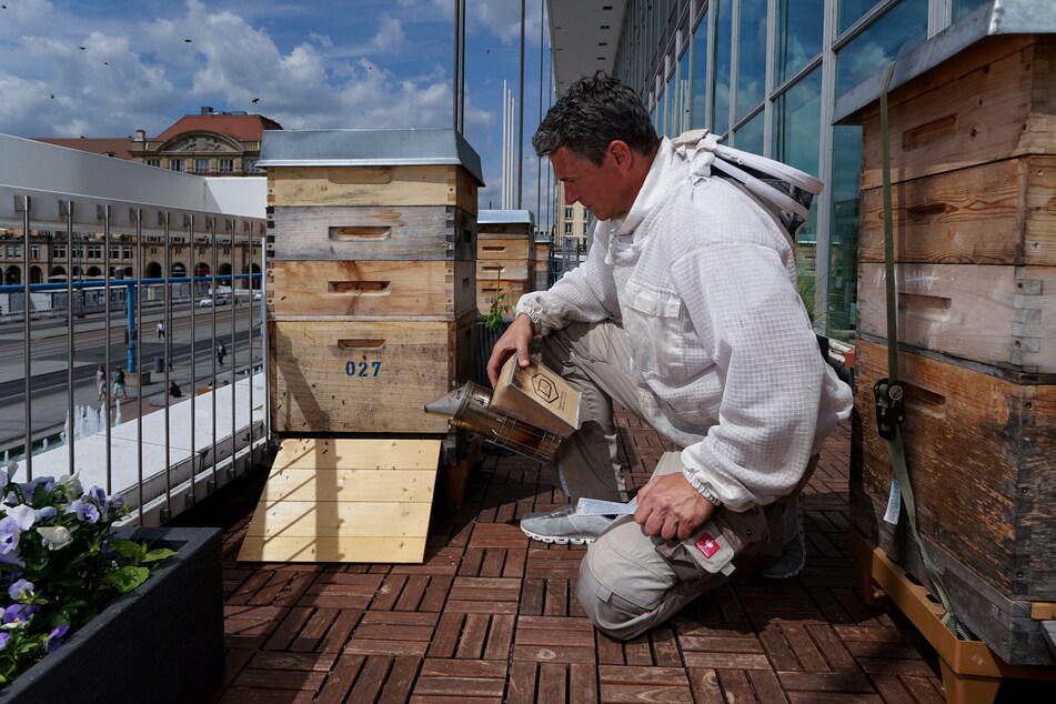 Rico Heinzig (47) von "Dresdner Stadthonig" zeigt seine Bienenverschläge auf dem Kulturpalast-Dach.