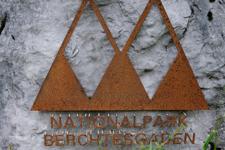 Der Nationalpark Berchtesgaden startet ein ungewöhnliches Projekt mit Tierkadavern.