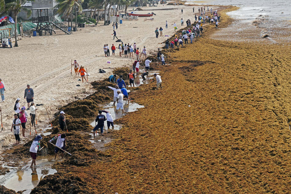 Mexico is waging war against the massive piles of seaweed threatening to harm its tourism revenue.
