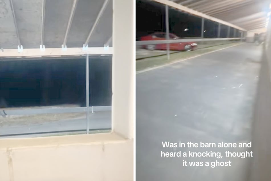 Eine Frau aus den USA hatte am Abend ein merkwürdiges Geräusch in ihrem Stall vernommen.