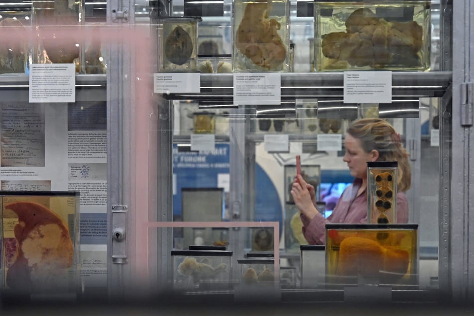 Eine Besucherin hält bei der Ausstellung die Eindrücke mit dem Handy fest.