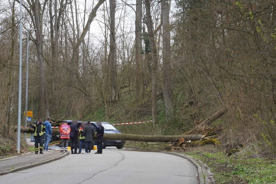 Die betroffene Straße wurde am Dienstag abgesichert.