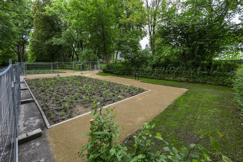 Am Stadtpark soll im Juli der Carl-Horst-Hahn-Garten eingeweiht werden. Aktuell laufen Vorbereitungen.