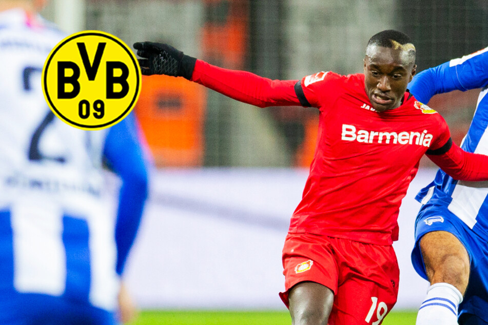 BVB will Leverkusens Flügelflitzer! Bedient sich Dortmund bei der Konkurrenz?