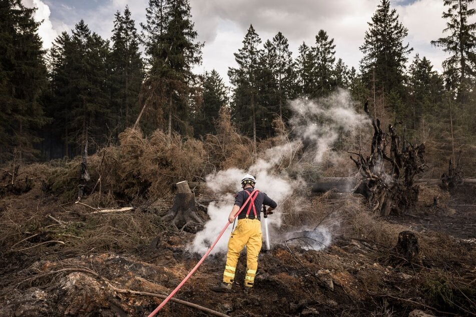 Durch das Feuer im Naturschutzgebiet Hohes Venn wurden in den vergangenen knapp zwei Wochen etwa 3000 Hektar Land zerstört.