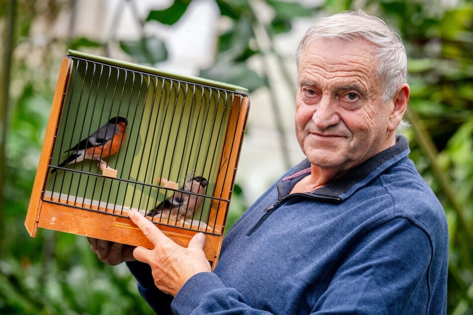 Vereinsvorsitzender Eckhardt Frömel (76) präsentiert stolz seine Nordischen Gimpel.