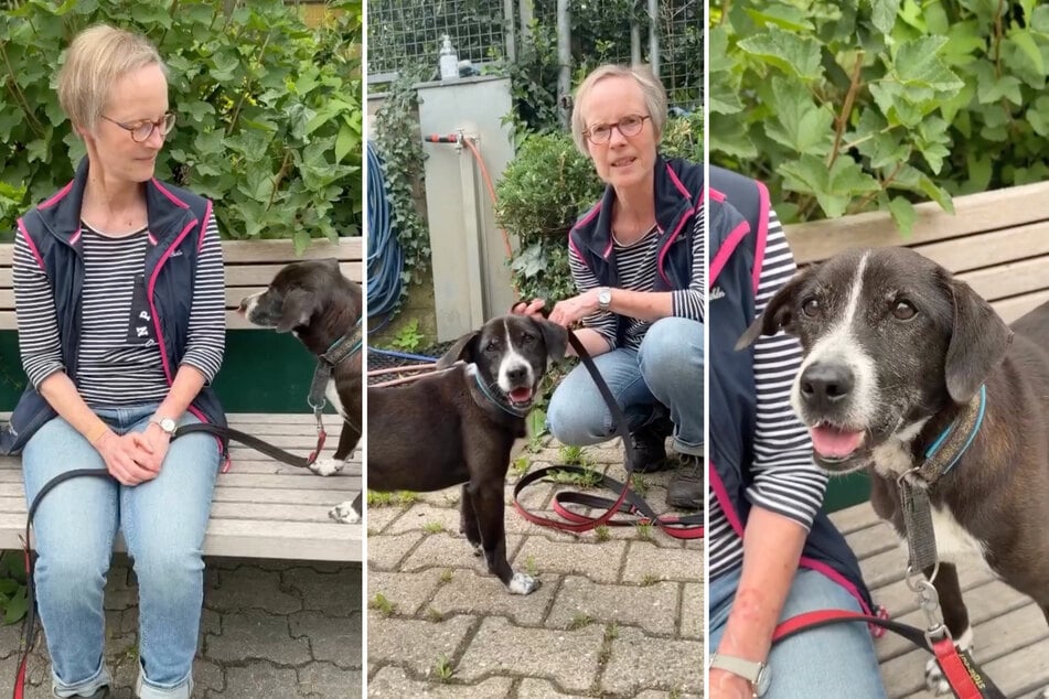 Gassigängerin Anette kennt Little besonders gut und weiß genau, wo seine Macken liegen.