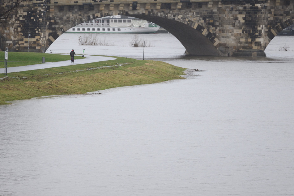 Elbe-Hochwasser in Dresden: Das sagen Experten für die nächsten Tage voraus