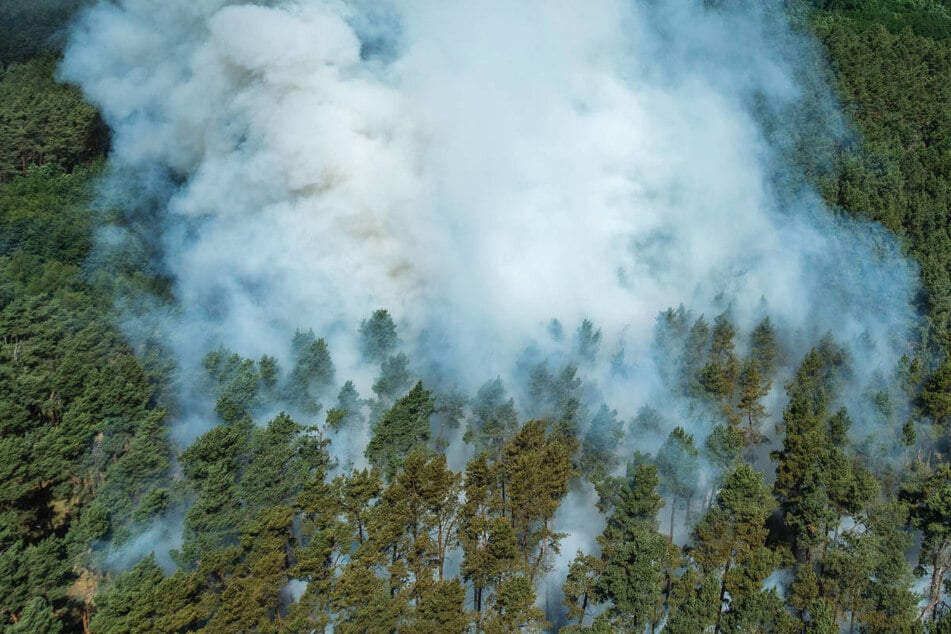 Vorsicht bei Ausflügen am Maiwochenende: Waldbrandgefahr steigt