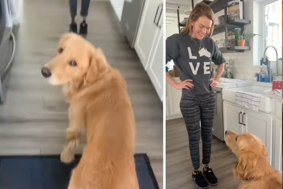 Seine Besitzerin kann nun wieder laufen. Die Reaktion des Hundes ging viral.