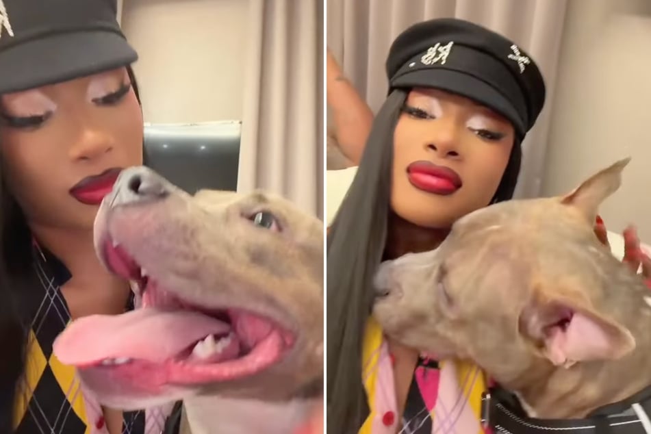Megan Thee Stallion gushes over "new son" after rescuing adorable dog from death