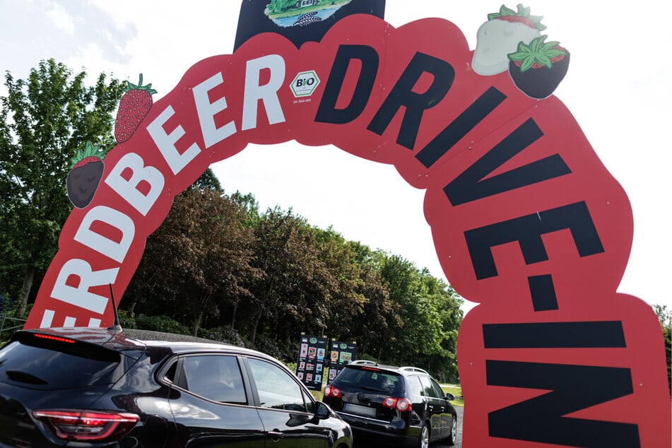 Auf dem Gut Holsterfeld in Salzbergen in Niedersachsen können ab sofort Erdbeeren in unzähligen Varianten probiert werden.