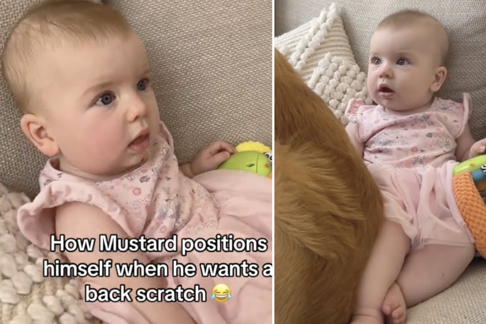 Baby Mackenzie weiß zunächst nicht so ganz, was es davon halten soll, dass sich Vierbeiner "Mustard" fast auf seinen Schoß setzt.