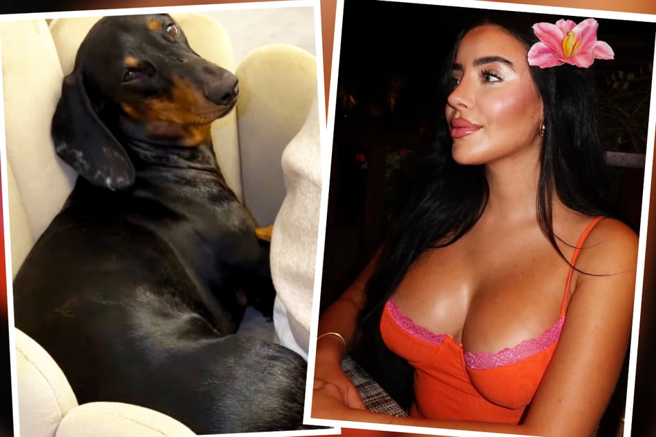 "Promi Big Brother"-Siegerin Leyla verzweifelt wegen Hund "Alani"