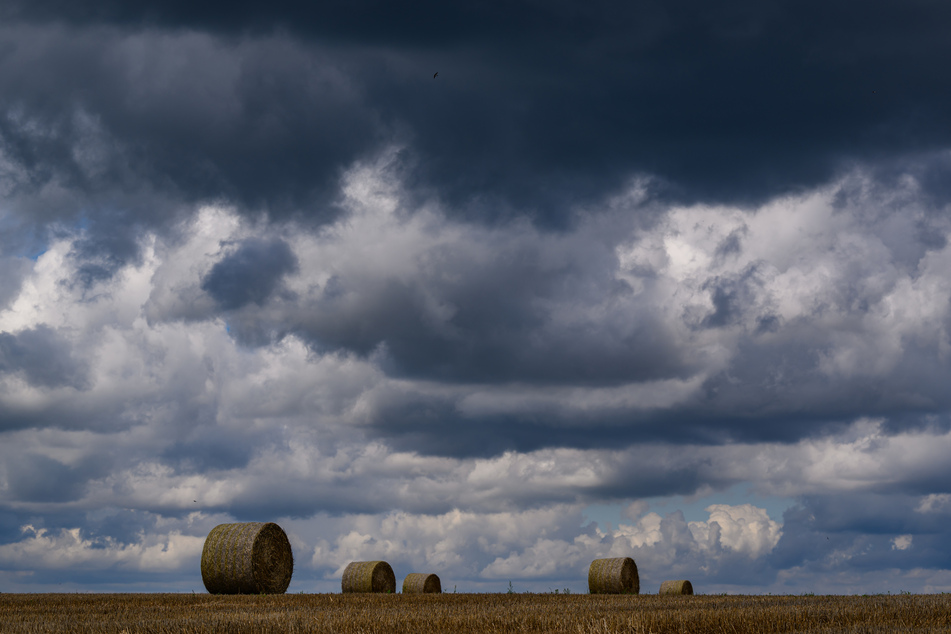 Dunkle Wolken am Himmel begleiten die Menschen in der Hauptstadtregion durch die kommenden Tage. (Archivbild)