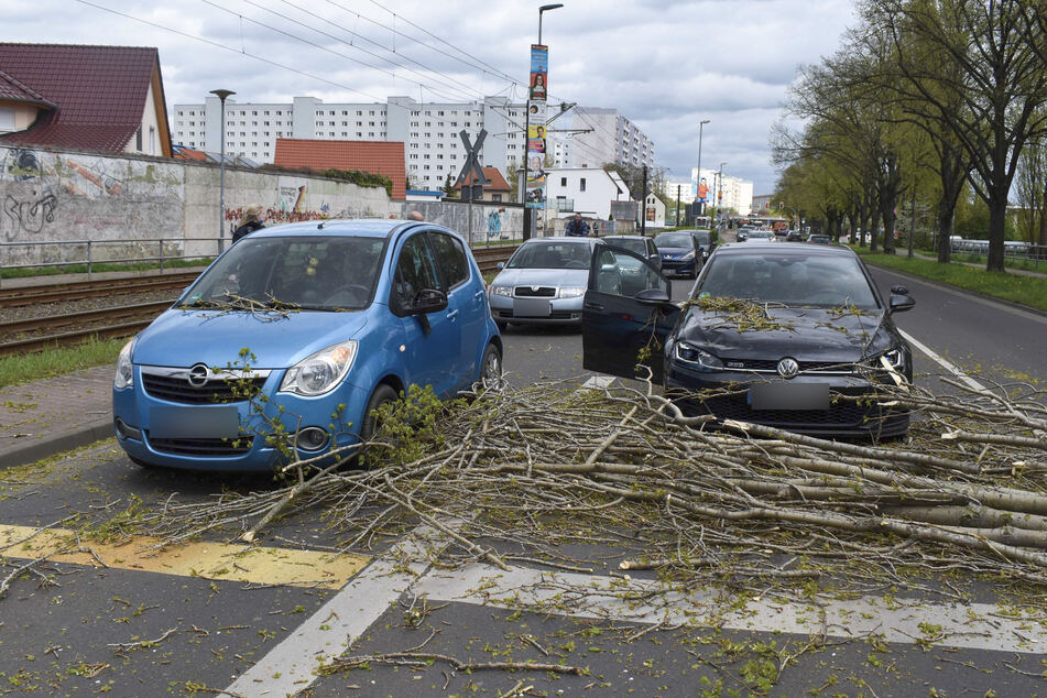 Zwei Fahrzeuge wurden kurz vor einer Ampel vom Baum erfasst.