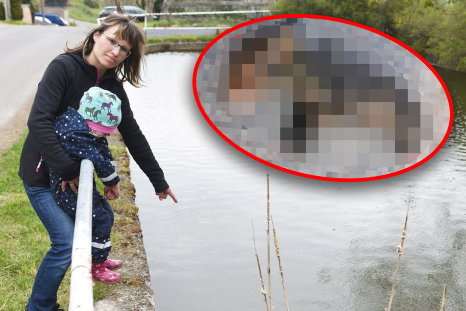 Tote Welpen in Teich gefunden: Wollte jemand unliebsame Hunde-Babys loswerden?