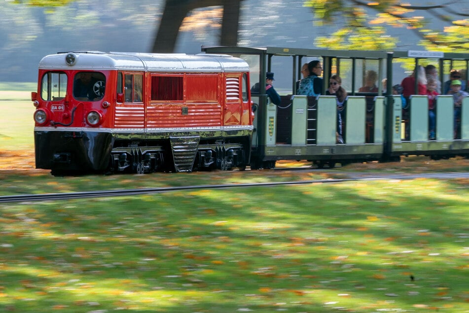 Dresden: Mitarbeiter der Parkeisenbahn soll Nacktbilder von 14-Jährigem gefordert haben