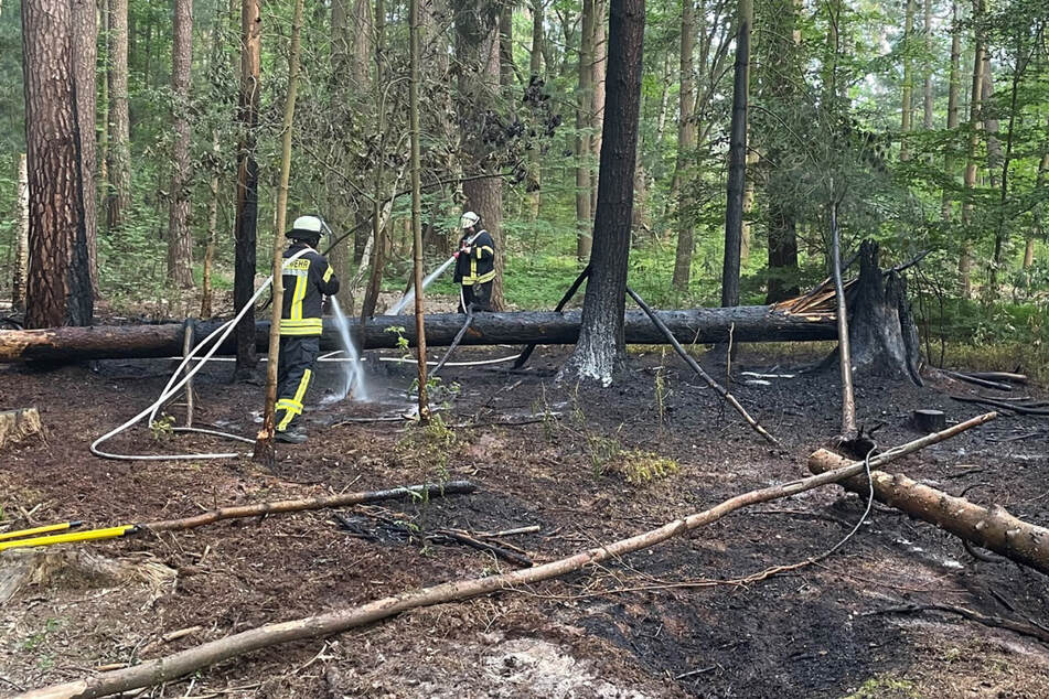 100 Quadratmeter Wald standen am Dienstag zwischen Gardelegen und Letzlingen (Altmarkkreis Salzwedel) in Flammen.