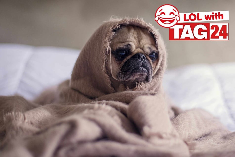 Joke of the Day for March 2, 2026: A funny for a case of the Mondays