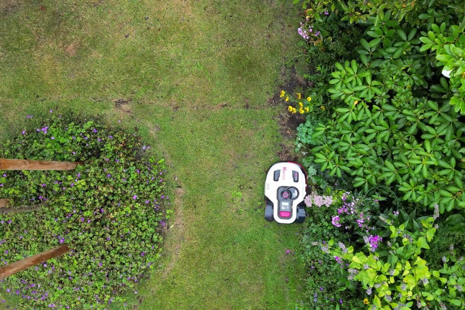 Mähroboter dürfen in Erfurt nicht mehr nachts fahren. (Symbolfoto)
