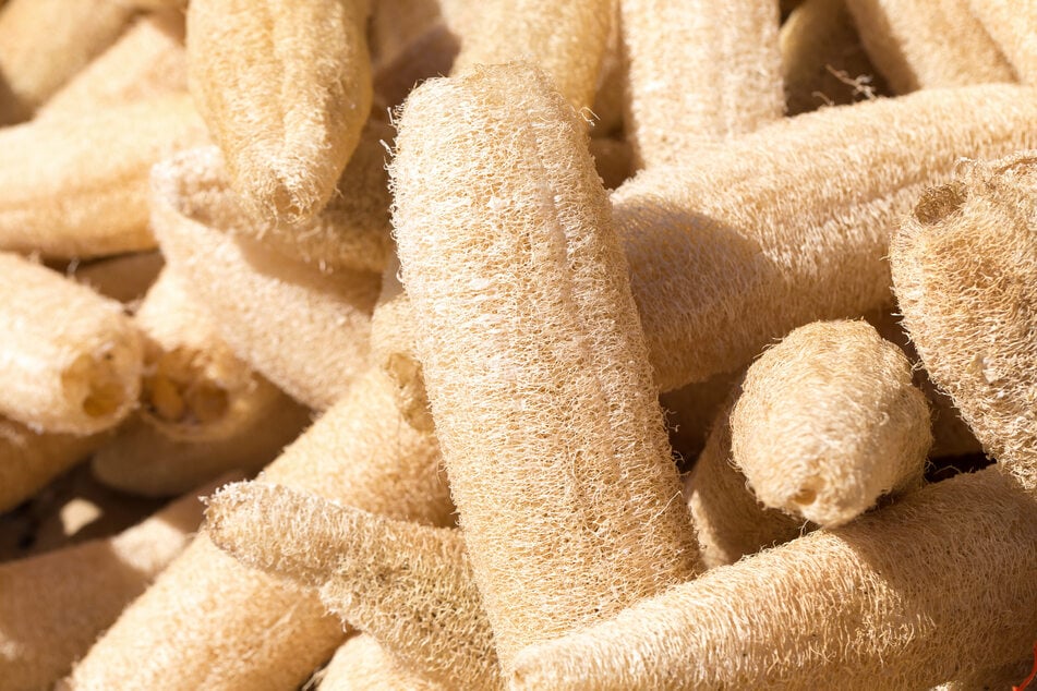 Für einen fertigen DIY-Schwamm kann man das Gewebe entsprechend zuschneiden.