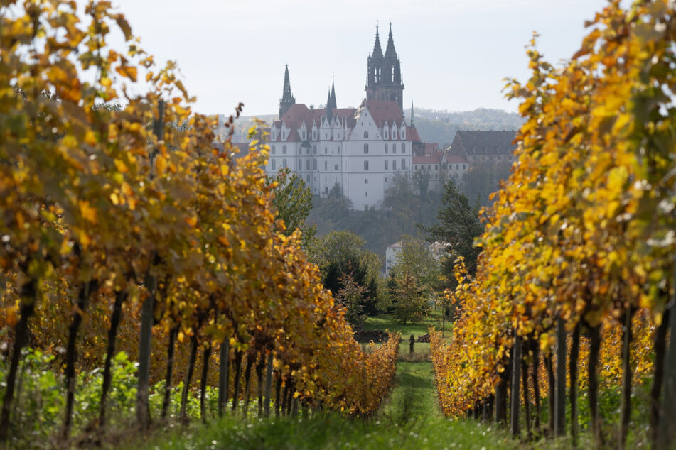 Auf der Meißner Albrechtsburg könnt Ihr an einem Erlebnisrundgang teilnehmen.