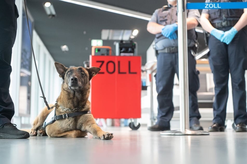 Auch hohe Geldbeträge müssen bei der Zollkontrolle gemeldet werden. (Symbolfoto)