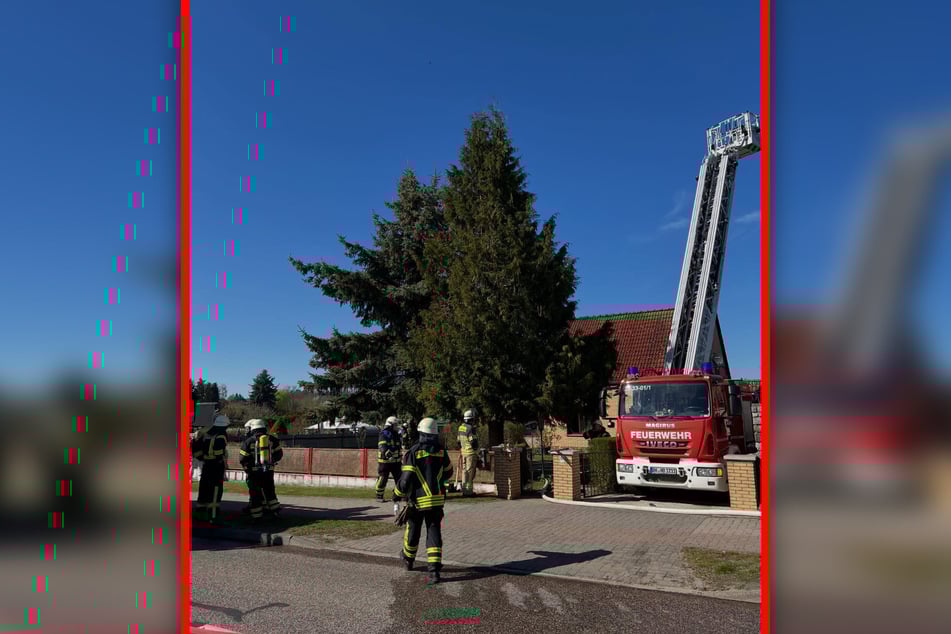 40 Kameraden der Feuerwehr kümmerten sich um die Brandbekämpfung.
